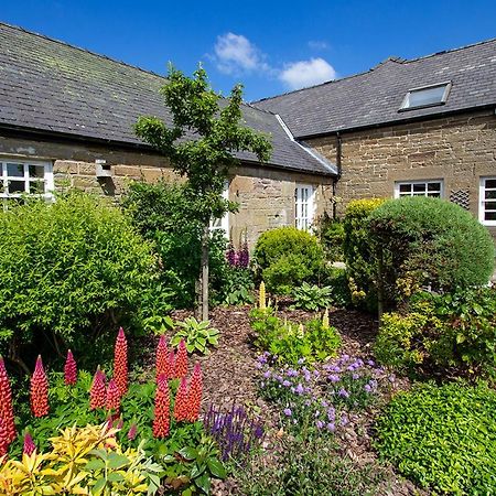 Home Farm B&B - Sunflower Room Forfar Buitenkant foto