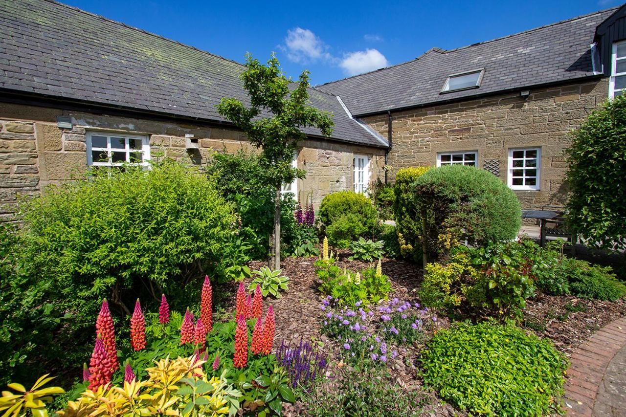 Home Farm B&B - Sunflower Room Forfar Buitenkant foto