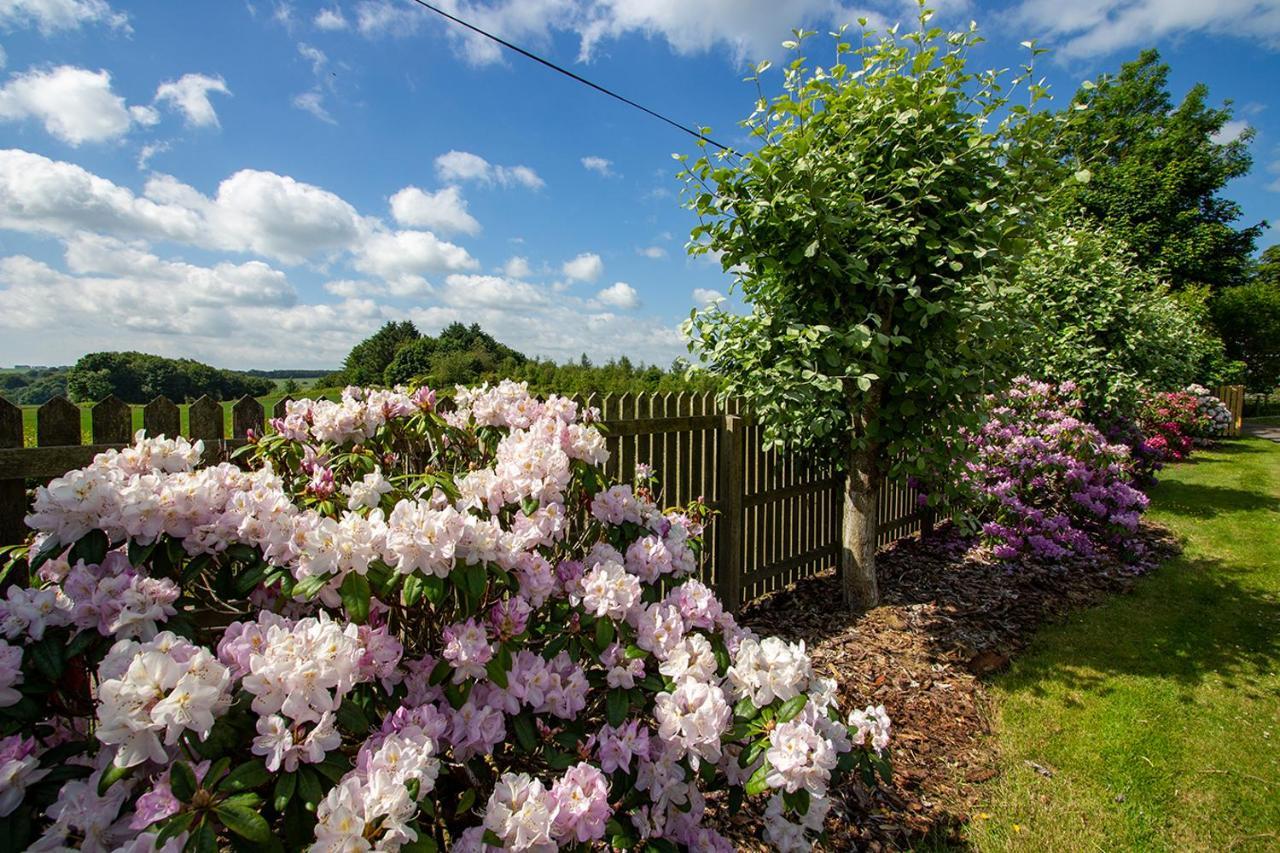 Home Farm B&B - Sunflower Room Forfar Buitenkant foto